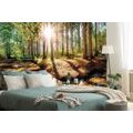 SELF ADHESIVE WALL MURAL FAIRYTALE FOREST - WALLPAPERS - 🔥 TOTAL SALE 🔥