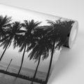 SELF ADHESIVE WALLPAPER SUNSET OVER PALM TREES IN BLACK AND WHITE - SELF-ADHESIVE WALLPAPERS - WALLPAPERS