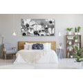 CANVAS PRINT GARDEN FLOWERS IN BLACK AND WHITE - BLACK AND WHITE PICTURES - PICTURES