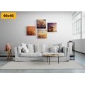 CANVAS PRINT SET CHARMING NATURE - SET OF PICTURES - PICTURES