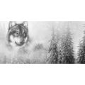 WANDBILD WOLF IN VERSCHNEITER LANDSCHAFT IN SCHWARZ-WEISS - SCHWARZ-WEISSE BILDER - BILDER