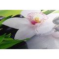 WANDBILD ORCHIDEE IN JAPANISCHER THEMATIK - BILDER MIT FENG SHUI-MOTIVEN - BILDER