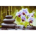 WANDBILD SPA-STILLLEBEN - BILDER MIT FENG SHUI-MOTIVEN - BILDER