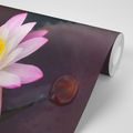 WALLPAPER PINK WATER LILY - WALLPAPERS FLOWERS - WALLPAPERS