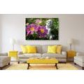 CANVAS PRINT ANGEL IN THE GARDEN - PICTURES OF ANGELS - PICTURES