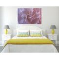 CANVAS PRINT CARNATION PETALS - PICTURES FLOWERS - PICTURES