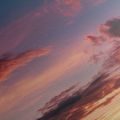CANVASTAVLA ROSA MOLN I SKYMNINGEN - NATUR- OCH LANDSKAPSTAVLOR - TAVLOR