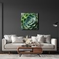 WANDBILD PERFEKTE SPIRALE DER SUKKULENTE - BOTANISCHE BILDER - BILDER