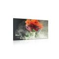 CANVAS PRINT ROSE WITH ABSTRACT ELEMENTS - PICTURES FLOWERS - PICTURES