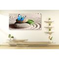 CANVAS PRINT BLUE BUTTERFLY ON A ZEN STONE - PICTURES FENG SHUI - PICTURES