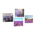 CANVAS PRINT SET ROMANTIC LAVENDER - SET OF PICTURES - PICTURES