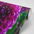 SELF ADHESIVE WALL MURAL BEAUTIFUL PURPLE FLOWER - SELF-ADHESIVE WALLPAPERS - WALLPAPERS