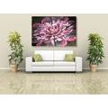 CANVAS PRINT MAGICAL PINK FLOWER - ABSTRACT PICTURES - PICTURES