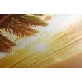 CANVAS PRINT SUNRISE ON A CARIBBEAN BEACH - PICTURES OF NATURE AND LANDSCAPE - PICTURES