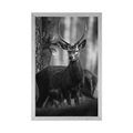 POSTER DEER IN THE FOREST IN BLACK AND WHITE - BLACK AND WHITE - POSTERS