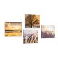 CANVAS PRINT SET WONDERS OF NATURE - SET OF PICTURES - PICTURES