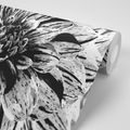 PAPIER PEINT DAHLIA EXOTIQUE EN NOIR ET BLANC - PAPIER PEINT NOIR ET BLANC - PAPIER PEINT