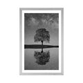 POSTER WITH MOUNT STARRY SKY ABOVE A LONELY TREE IN BLACK AND WHITE - BLACK AND WHITE - POSTERS