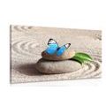 CANVAS PRINT BLUE BUTTERFLY IN A ZEN GARDEN - PICTURES FENG SHUI - PICTURES