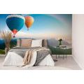 WALL MURAL ADVENTURE ON BALLOONS - WALLPAPERS NATURE - WALLPAPERS