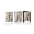 AFFICHE AVEC MONTURE AVENUE D'ARBRES D'HIVER - NATURE - AFFICHES