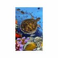 POSTER UNDERWATER WORLD - ANIMALS - POSTERS