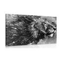 CANVAS PRINT KING OF ANIMALS IN BLACK AND WHITE WATERCOLOR - BLACK AND WHITE PICTURES - PICTURES