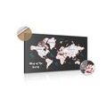 DECORATIVE PINBOARD UNIQUE WORLD MAP - PICTURES ON CORK - PICTURES