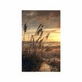 AFFICHE COUCHER DE SOLEIL SUR LA PLAGE - NATURE - AFFICHES