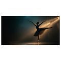 OBRAZ ELEGANCE TANEČNÍHO UMĚNÍ - OBRAZY ŽENY - OBRAZY