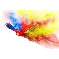 SELF ADHESIVE WALLPAPER PARROT FLIGHT - SELF-ADHESIVE WALLPAPERS - WALLPAPERS