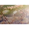 CANVAS PRINT FLORAL STILL LIFE - PICTURES OF NATURE AND LANDSCAPE - PICTURES