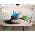 WANDBILD BLAUER SCHMETTERLING IM ZEN-GARTEN - BILDER MIT FENG SHUI-MOTIVEN - BILDER