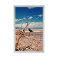 POSTER CROW IN A DRY LANDSCAPE - NATURE - POSTERS