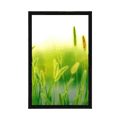 AFFICHE BRINS D'HERBE DANS UN DESIGN VERT - NATURE - AFFICHES