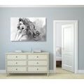 CANVAS PRINT WATERCOLOR FEMALE PORTRAIT IN BLACK AND WHITE - BLACK AND WHITE PICTURES - PICTURES