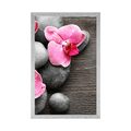 POSTER ELEGANT COMPOSITION WITH ORCHID FLOWERS - FENG SHUI - POSTERS