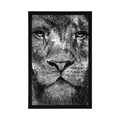 AFFICHE VISAGE DE LION EN NOIR ET BLANC - NOIR ET BLANC - AFFICHES