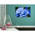 WANDBILD WILDE BLAUE BLUMEN - BILDER BLUMEN - BILDER