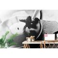 WALL MURAL BLACK AND WHITE ANTIQUE GRAMOPHONE - BLACK AND WHITE WALLPAPERS - WALLPAPERS