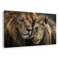 OBRAZ LVÍ LÁSKA V DIVOČINĚ - OBRAZY LVI A TYGŘI - OBRAZY