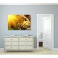 CANVAS PRINT ANGEL WITH SUN RAYS - PICTURES OF ANGELS - PICTURES