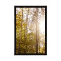 POSTER WALD IN HERBSTFARBEN - NATUR{% if product.category.pathNames[0] != product.category.name %} - GERAHMTE POSTER{% endif %}