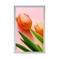 AFFICHE TULIPE - FLEURS - AFFICHES