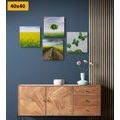 CANVAS PRINT SET DAZZLING NATURE - SET OF PICTURES - PICTURES