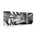 CANVAS PRINT LILY BLOSSOM IN BLACK AND WHITE - BLACK AND WHITE PICTURES - PICTURES