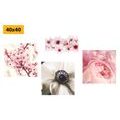 CANVAS PRINT SET DELICACY OF FLOWERS - SET OF PICTURES - PICTURES