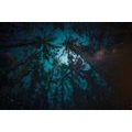 SELF ADHESIVE WALLPAPER NIGHT IN THE FOREST - SELF-ADHESIVE WALLPAPERS - WALLPAPERS