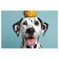 WANDBILD DALMATINER MIT ANANAS AUF DEM KOPF - BILDER VON HUNDEN - BILDER