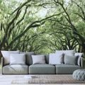 SELF ADHESIVE WALL MURAL TREES IN AN EMBRACE - SELF-ADHESIVE WALLPAPERS - WALLPAPERS
